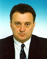 Sinisa-tim